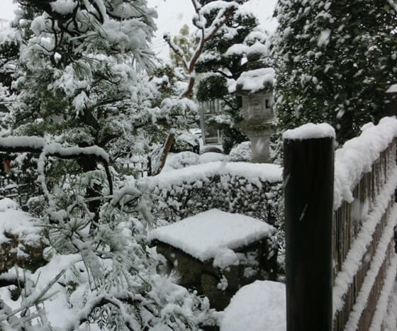 成人式の雨雪